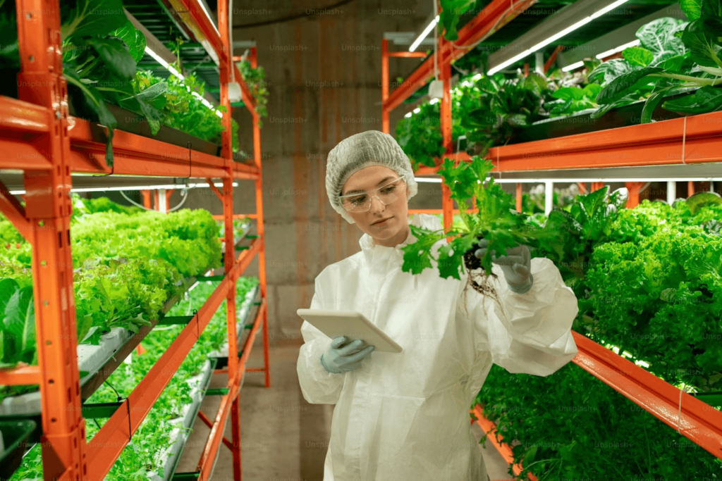 green jobs for women