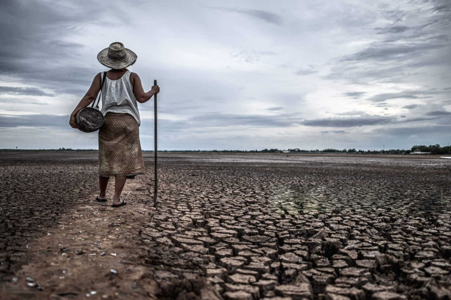 water scarcity and women